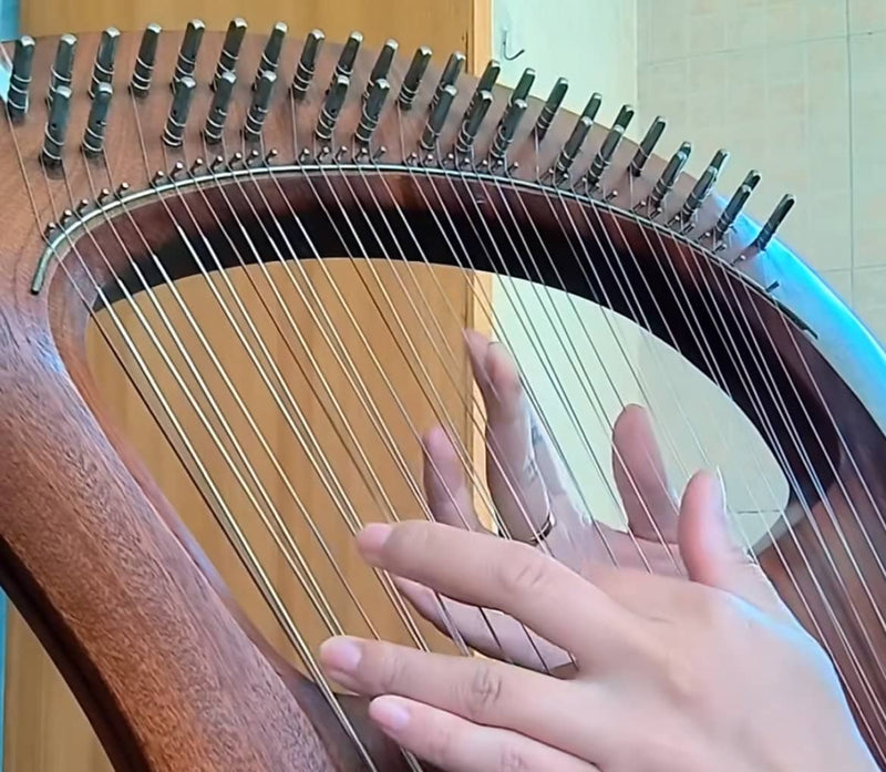 Mastering the Strings: How to Play Lyre Instrument for Beginners