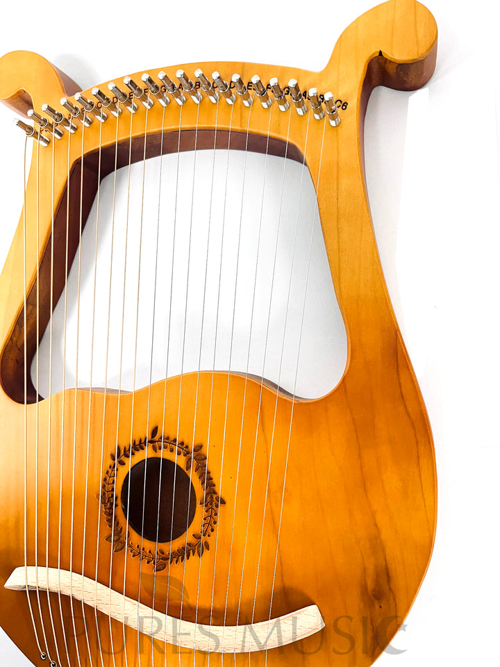Lier Harp, Draagbaar 24-snarig Instrument Voor Beginners Met Draagtas Stemsleutel String Cadeau Voor Beginner Muziekliefhebbers Kinderen Volwassen24 Strings