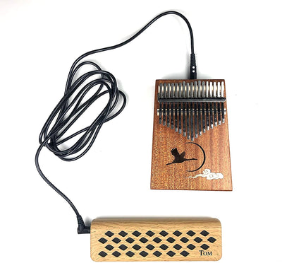 Amplificador de altavoz portátil para instrumentos Kalimba/Handpan/Steel tongue drum/Lyre Harp
