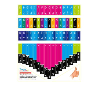 17/21/34 key Kalimba Scale Stickers Thumb Piano Beginner