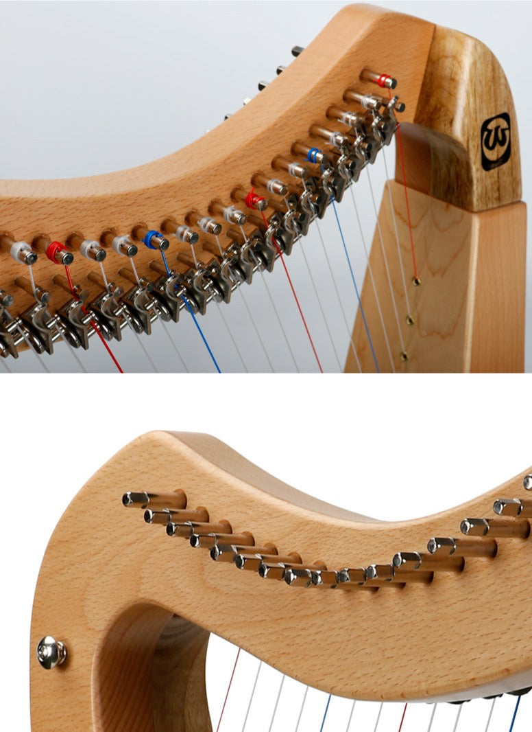 Walter.t 19 corde con leve Irish Lyre Harp Semitone Key Lyre Instrument
